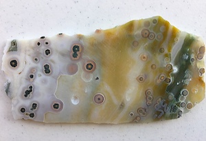 Semi-translucent slab with mixed spherulites, including 'flower orbs', ~5.5in wide, Back. Cut by Owyhee Gemstones, Idaho.