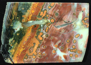 Figure 10 (Right): A broken band of spherulites, leaving a crack/fissure that later filled with silica solution and hardened to chalcedony, in this case including fine agate banding. This is a wonderful example of 'brecciation', a common occurrence in jaspers and some agates. Brecciation in Ocean Jasper is more common in early mined finds like this specimen from Marovato, deposit 1. The reason may be due to depth of the material mined, with later deposits deeper and structurally more solid, resisting such breaking shocks. Lieber's Fig. 10 (Right) shows a damaged/cracked spherulite that similarly backfilled with silica solution, turned to colloid sol-gel, and hardened to clear-milky chalcedony. Specimen length: ~12.5cm.