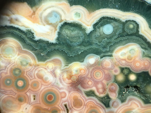 Close-up from 'Land and Sea' slab specimen. Note the ubiquity of iron oxide/hydroxide precipitate particulates, which make up the reddish colors in this specimen.
