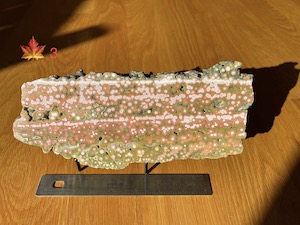 1 side polished slab, 24x10x1.6cm, 828g